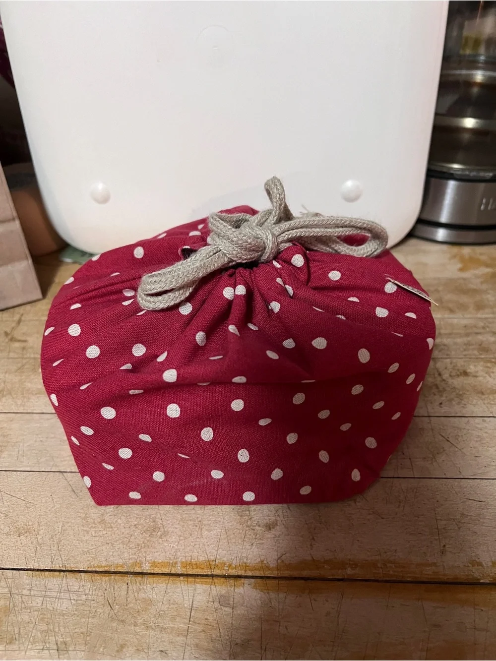 Bentgo Classic Bento Box + Hakoya Bento Bag